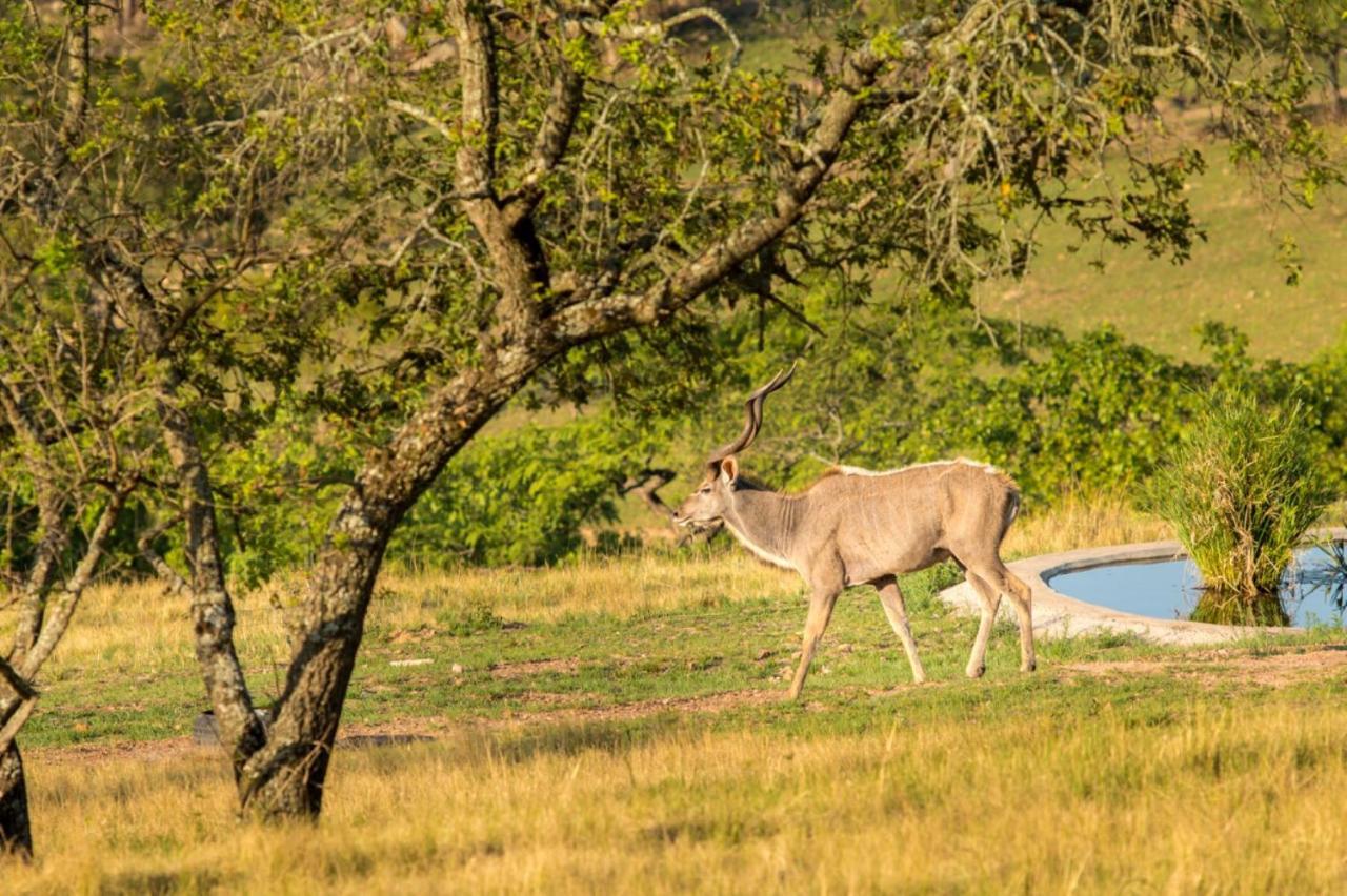 @Nature Luxury Cottages Mbombela Bagian luar foto