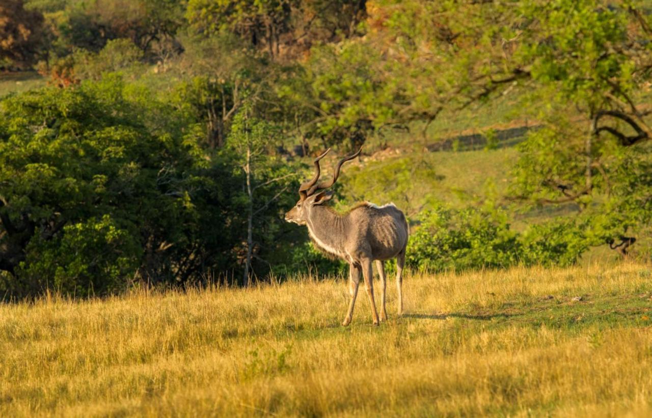 @Nature Luxury Cottages Mbombela Bagian luar foto