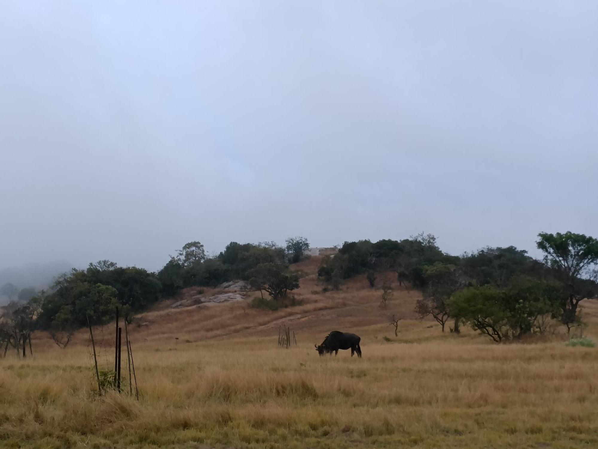 @Nature Luxury Cottages Mbombela Bagian luar foto