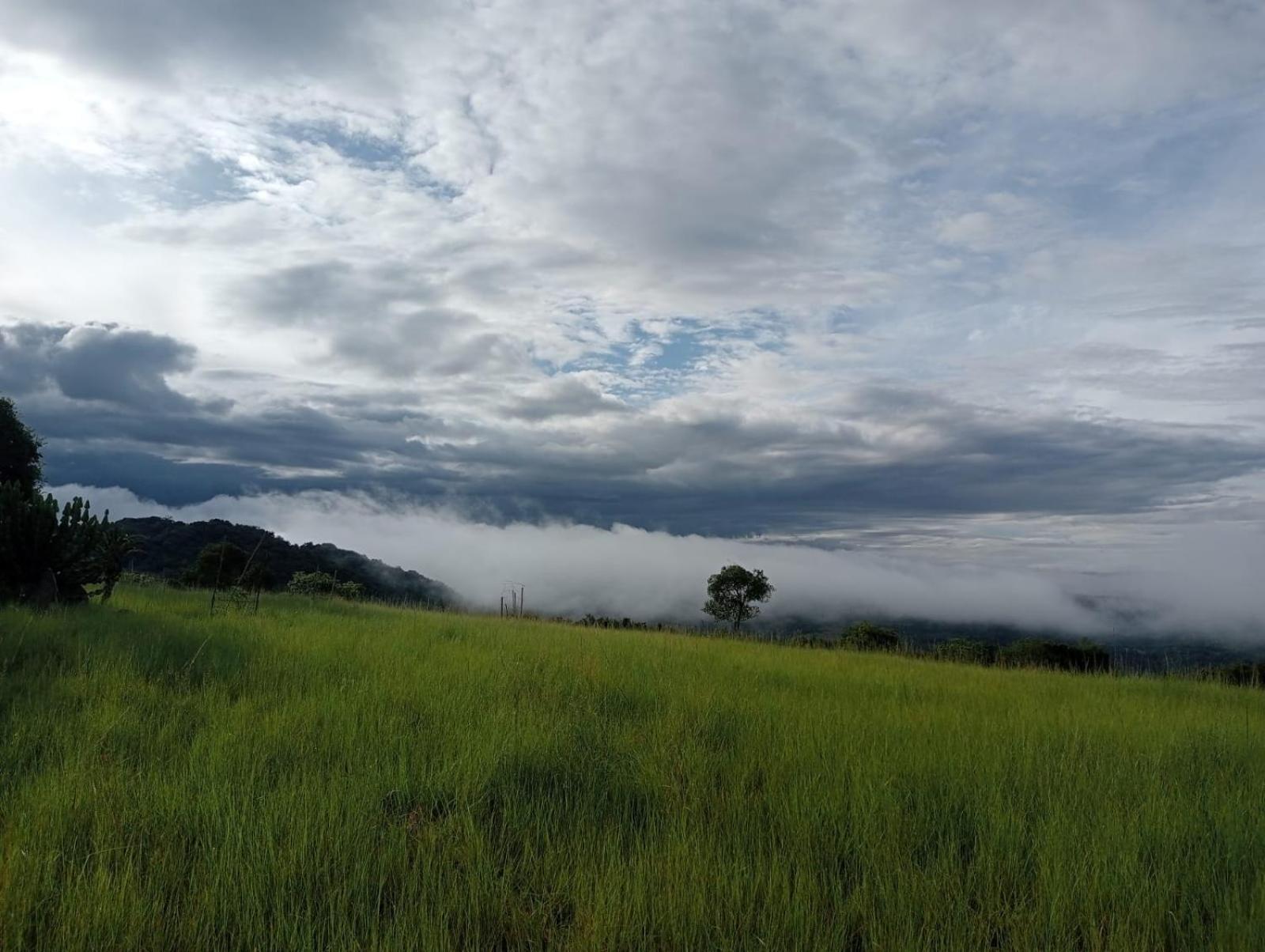 @Nature Luxury Cottages Mbombela Bagian luar foto