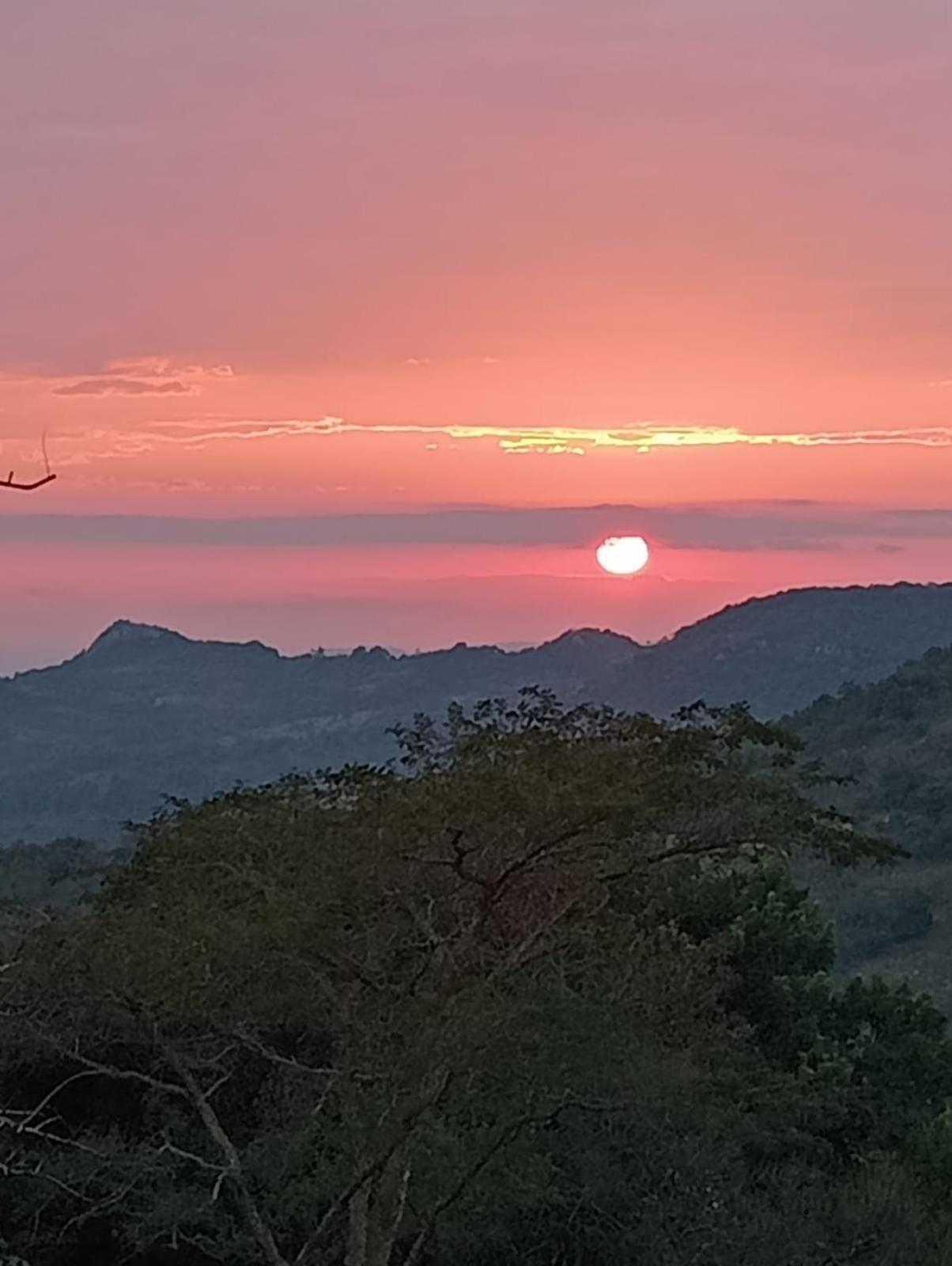 @Nature Luxury Cottages Mbombela Bagian luar foto