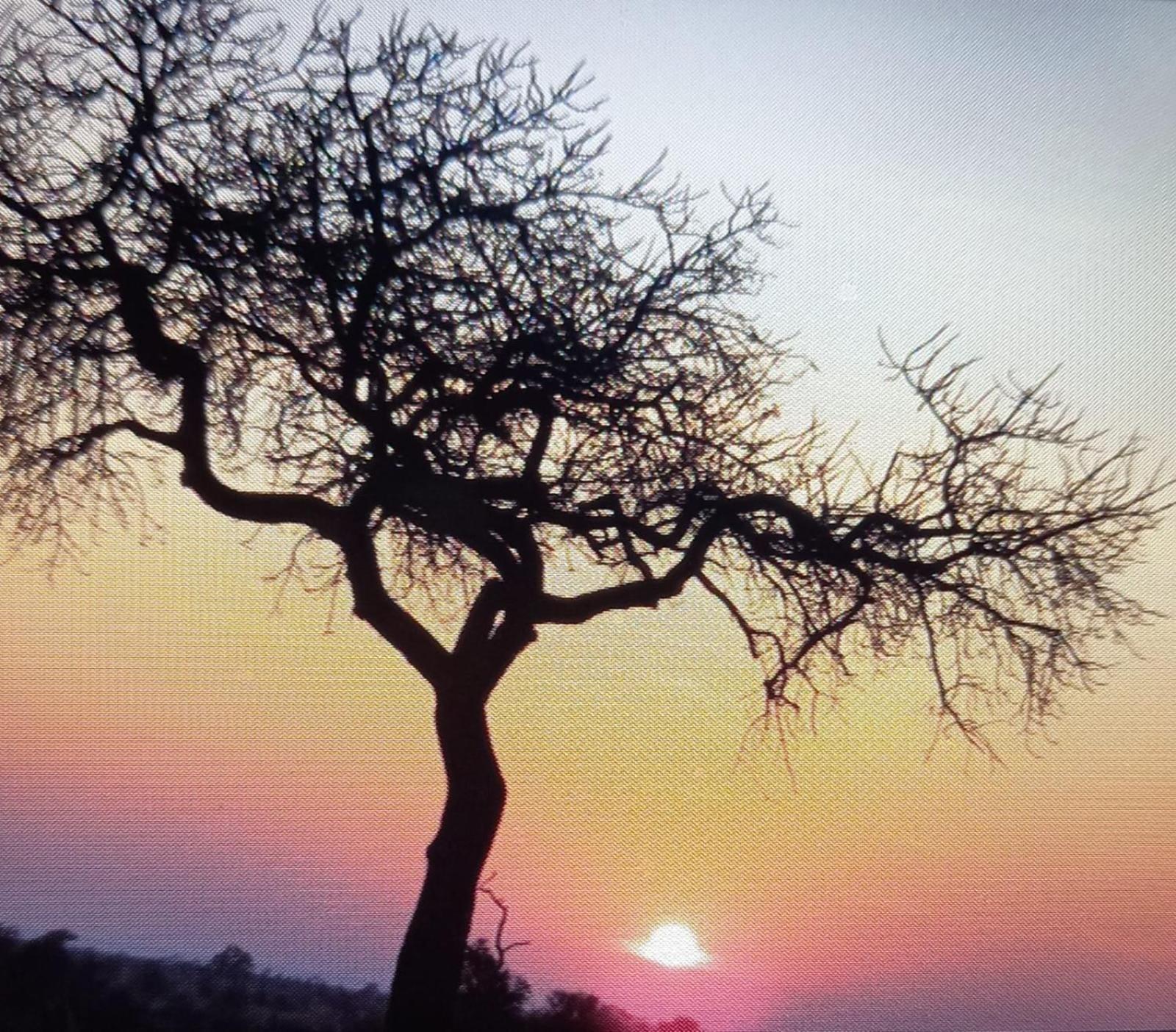 @Nature Luxury Cottages Mbombela Bagian luar foto