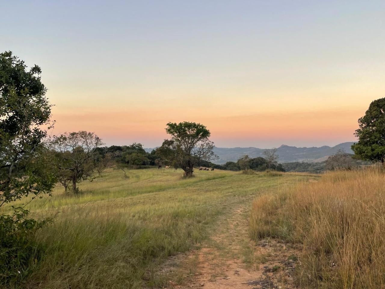 @Nature Luxury Cottages Mbombela Bagian luar foto