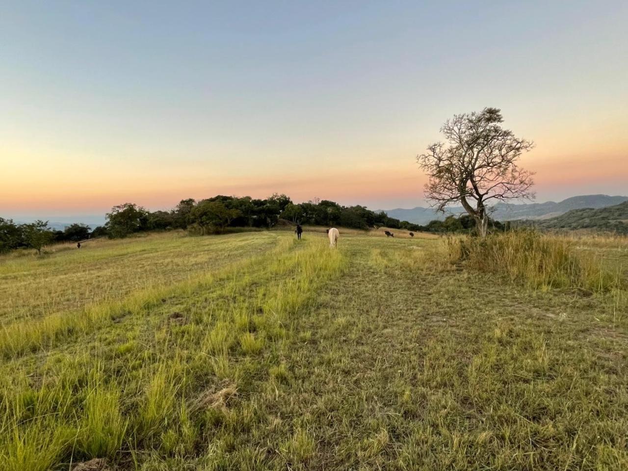 @Nature Luxury Cottages Mbombela Bagian luar foto