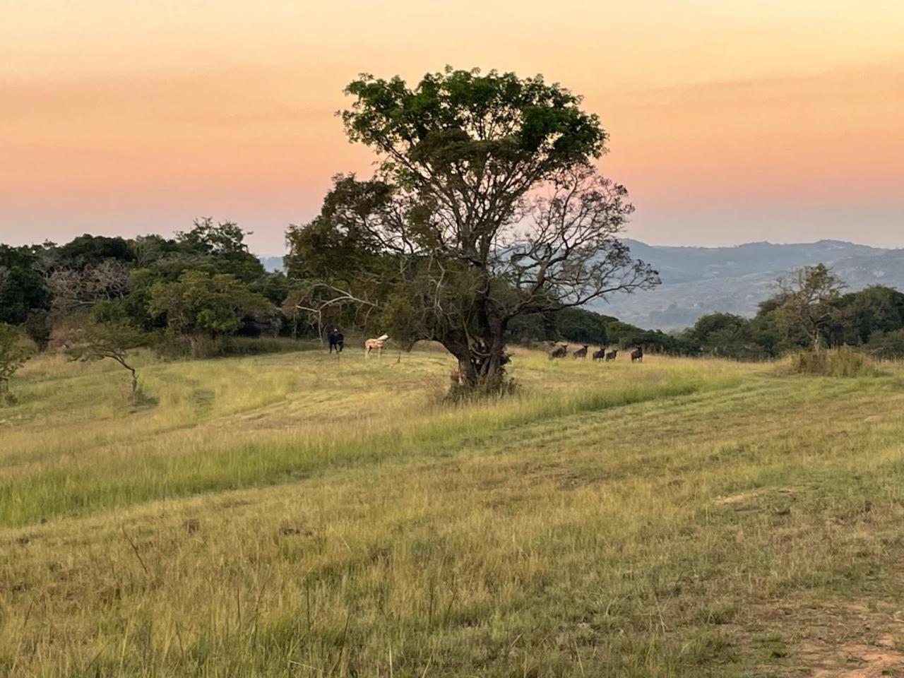 @Nature Luxury Cottages Mbombela Bagian luar foto