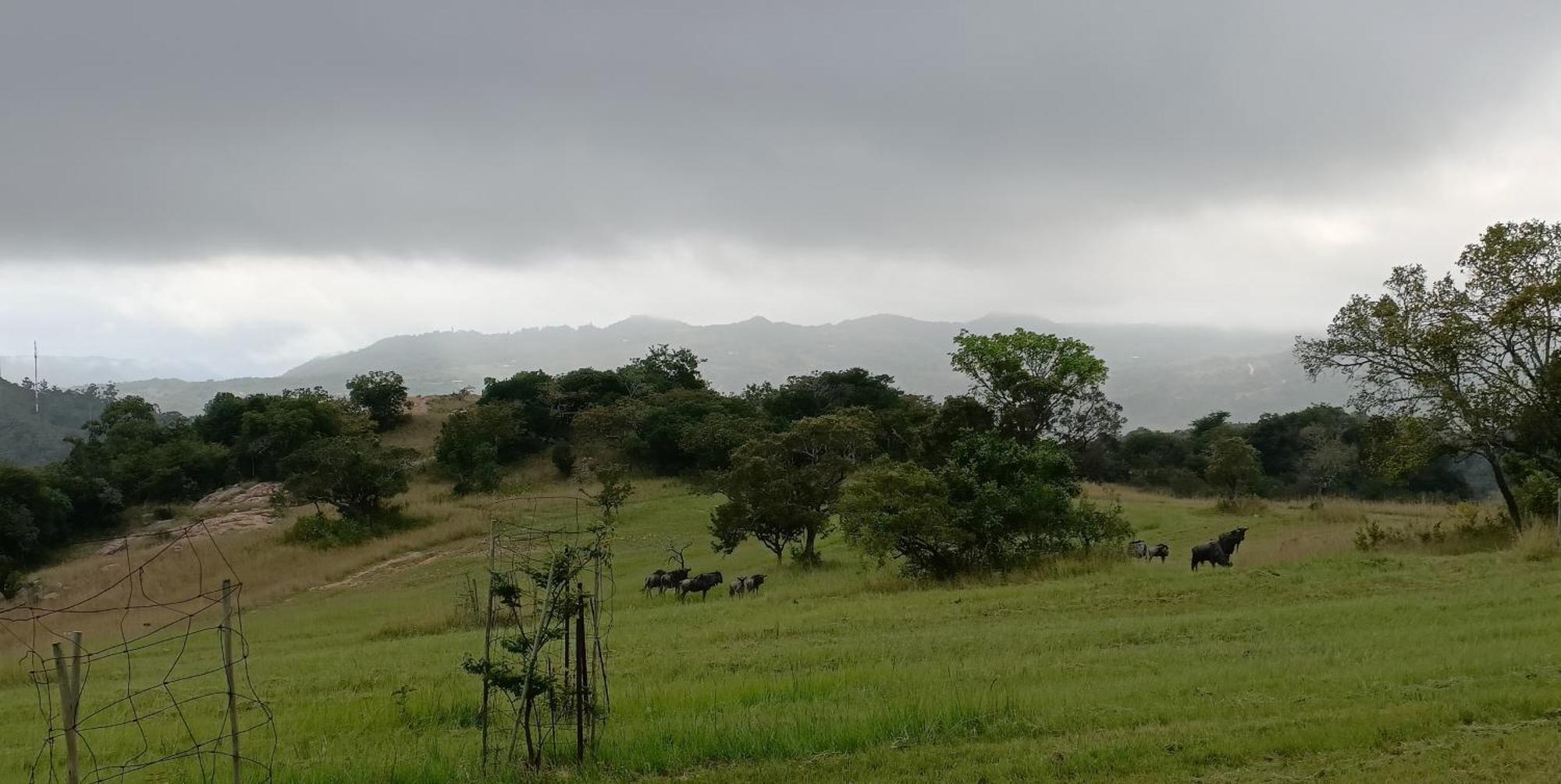 @Nature Luxury Cottages Mbombela Bagian luar foto