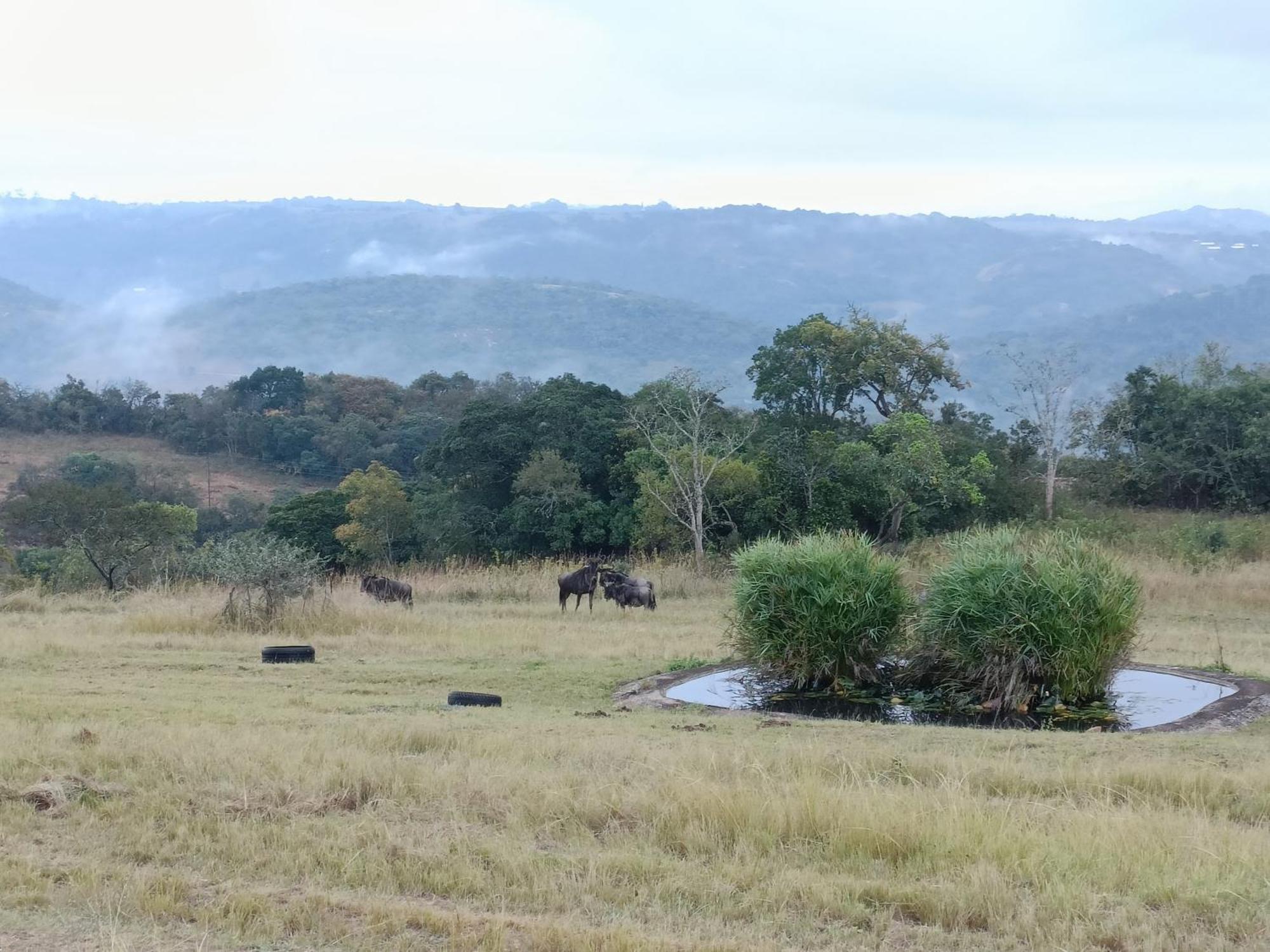 @Nature Luxury Cottages Mbombela Bagian luar foto