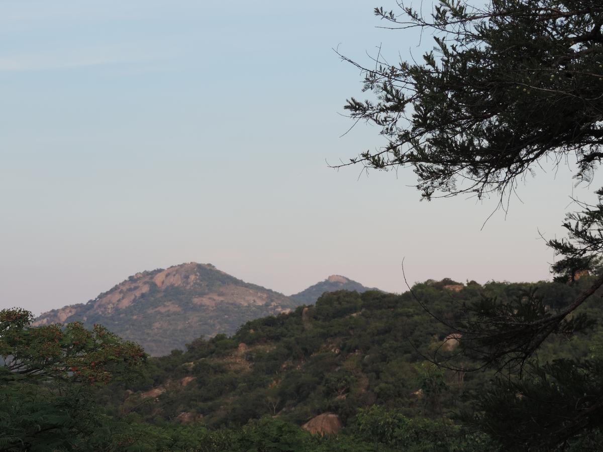@Nature Luxury Cottages Mbombela Bagian luar foto