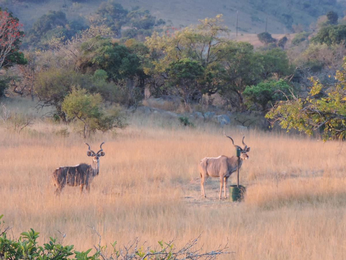 @Nature Luxury Cottages Mbombela Bagian luar foto