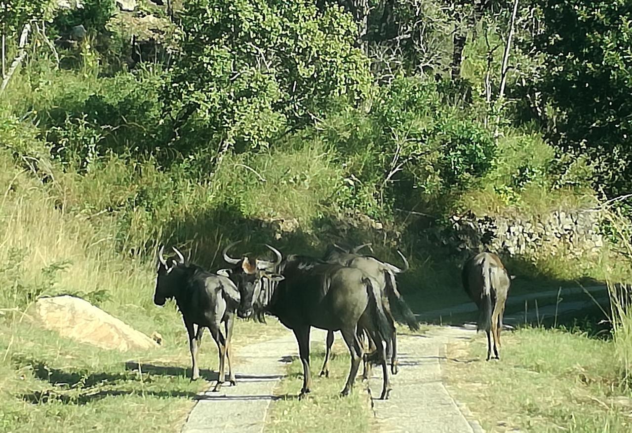@Nature Luxury Cottages Mbombela Bagian luar foto