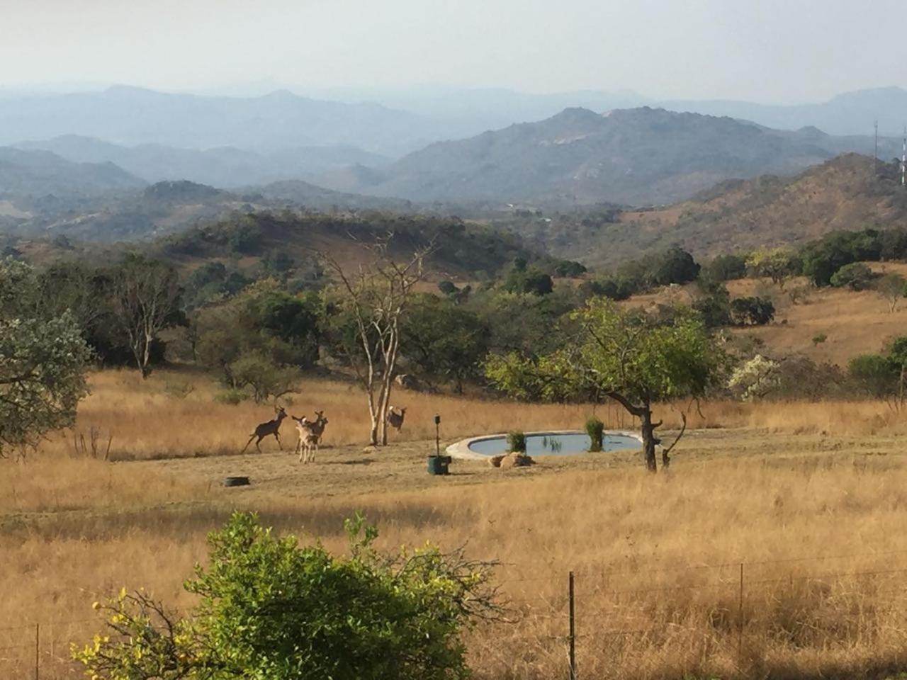 @Nature Luxury Cottages Mbombela Bagian luar foto