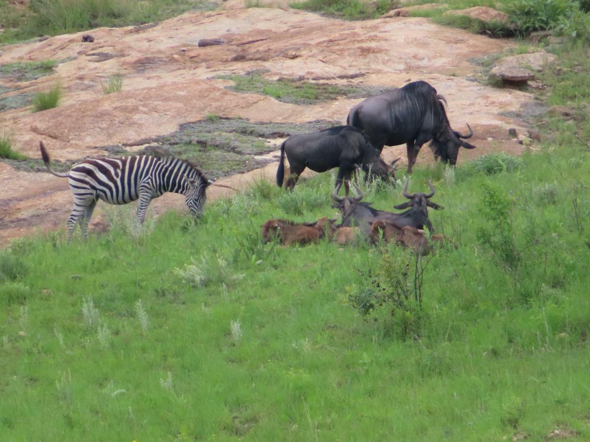 @Nature Luxury Cottages Mbombela Bagian luar foto