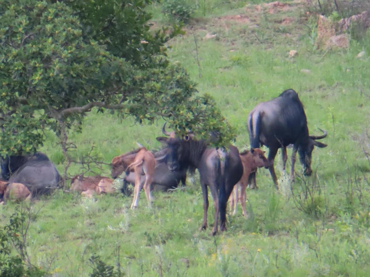 @Nature Luxury Cottages Mbombela Bagian luar foto