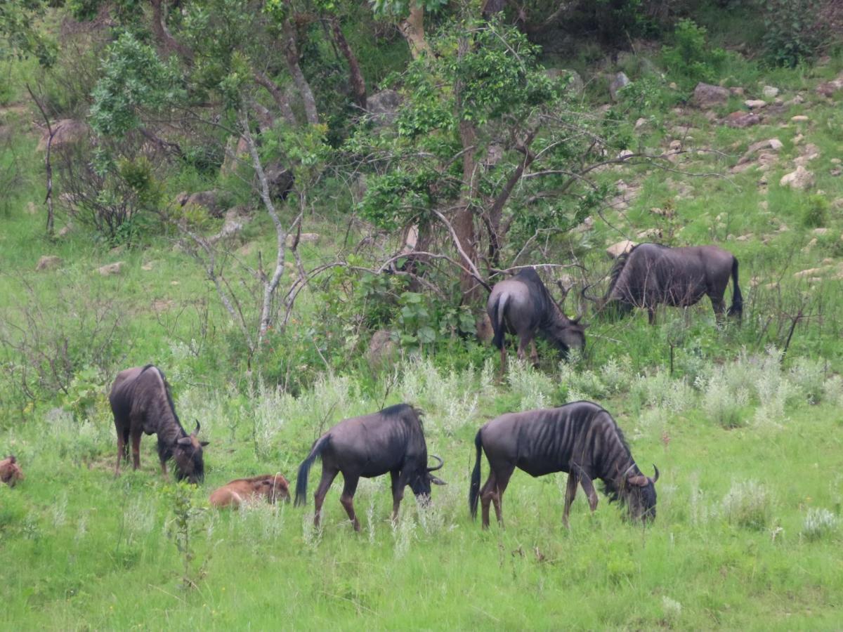 @Nature Luxury Cottages Mbombela Bagian luar foto