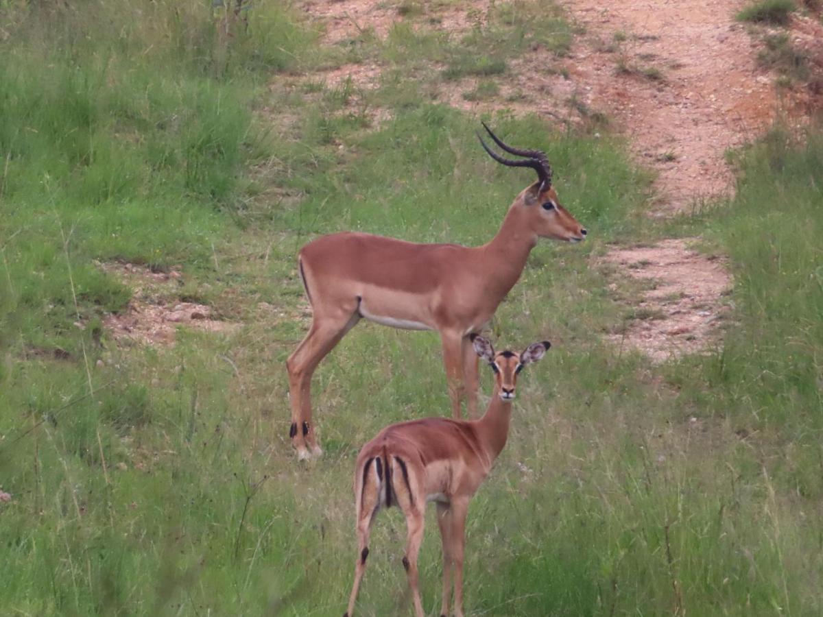 @Nature Luxury Cottages Mbombela Bagian luar foto